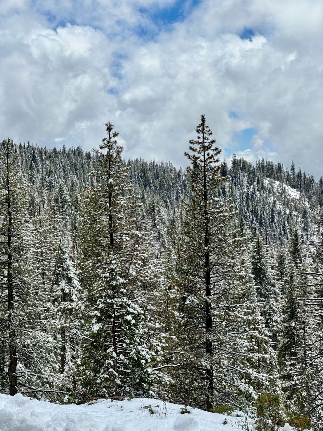 May snow at 6,500 feet